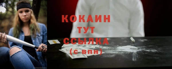 мескалин Богородицк