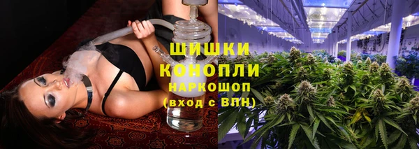 дживик Белокуриха