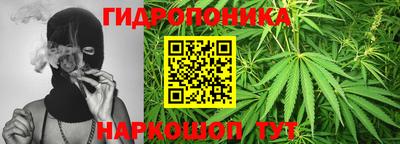 гашик Кулебаки